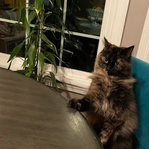 Meet your Posher, Evan